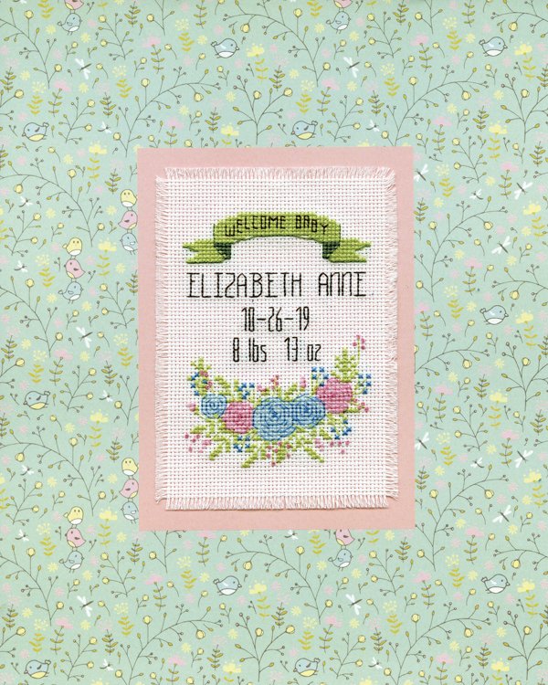 Design Works  Welcome Baby Birth Record Stitch & Mat #4485